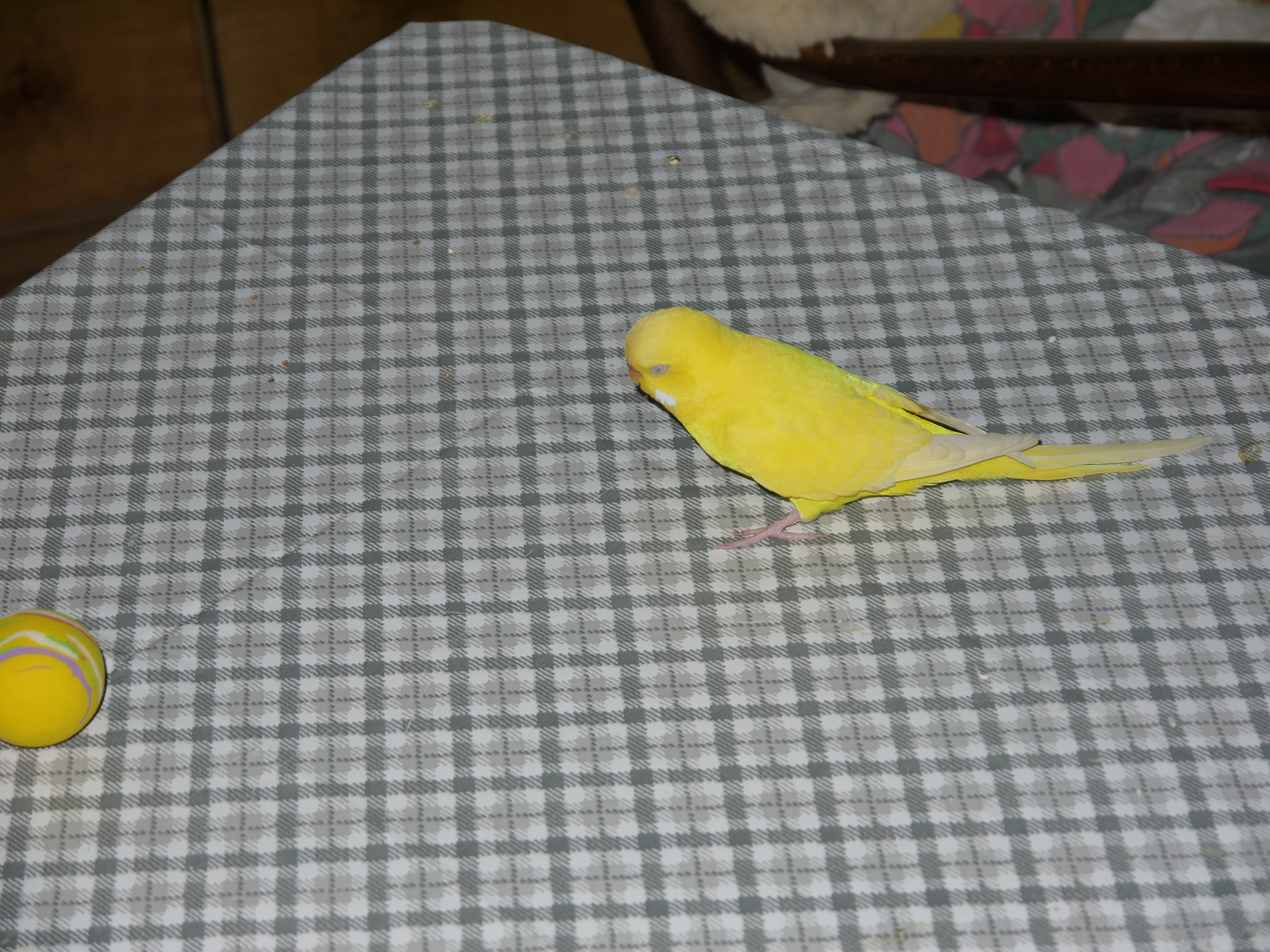 20111227_35