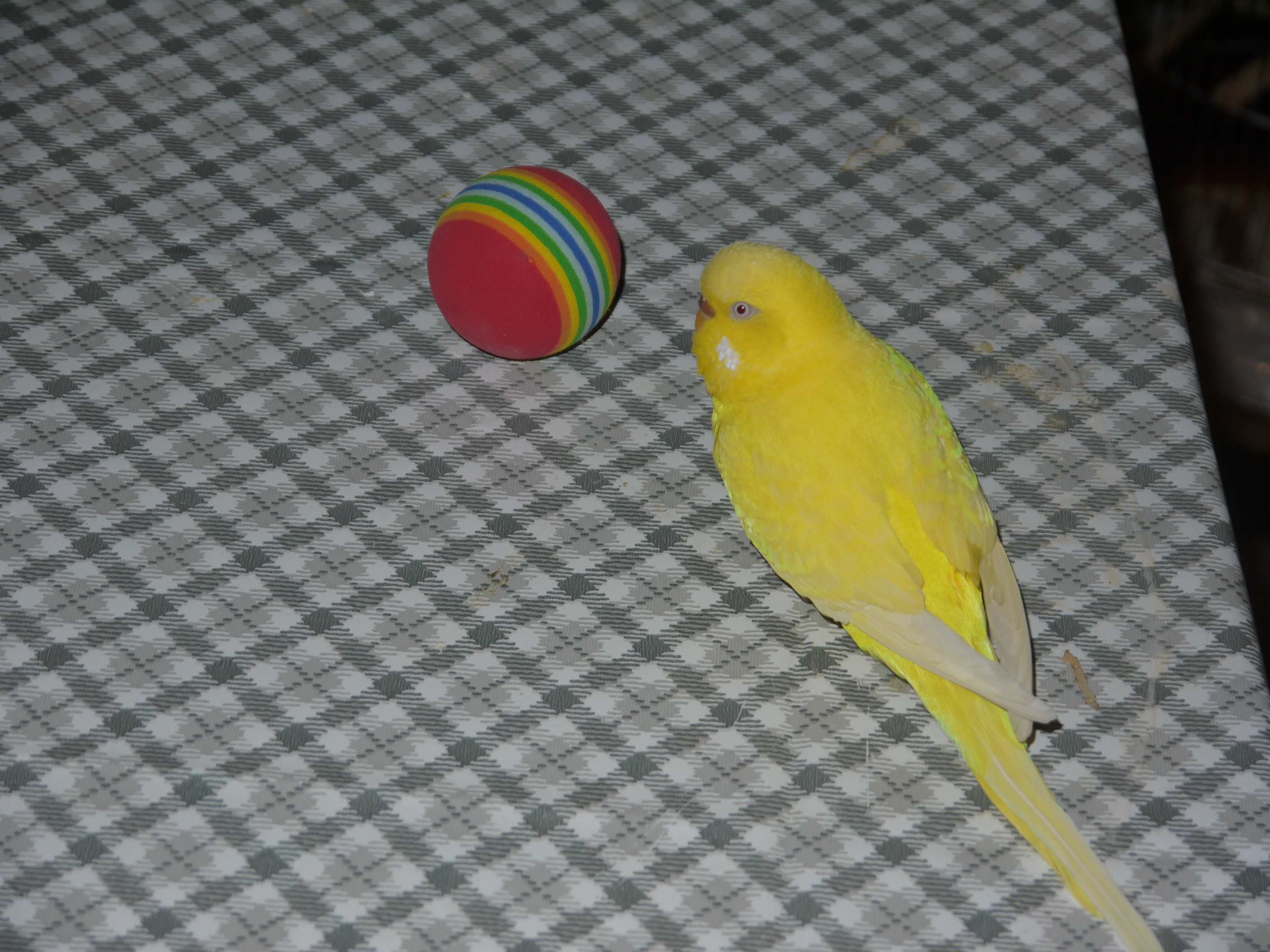 20111227_37