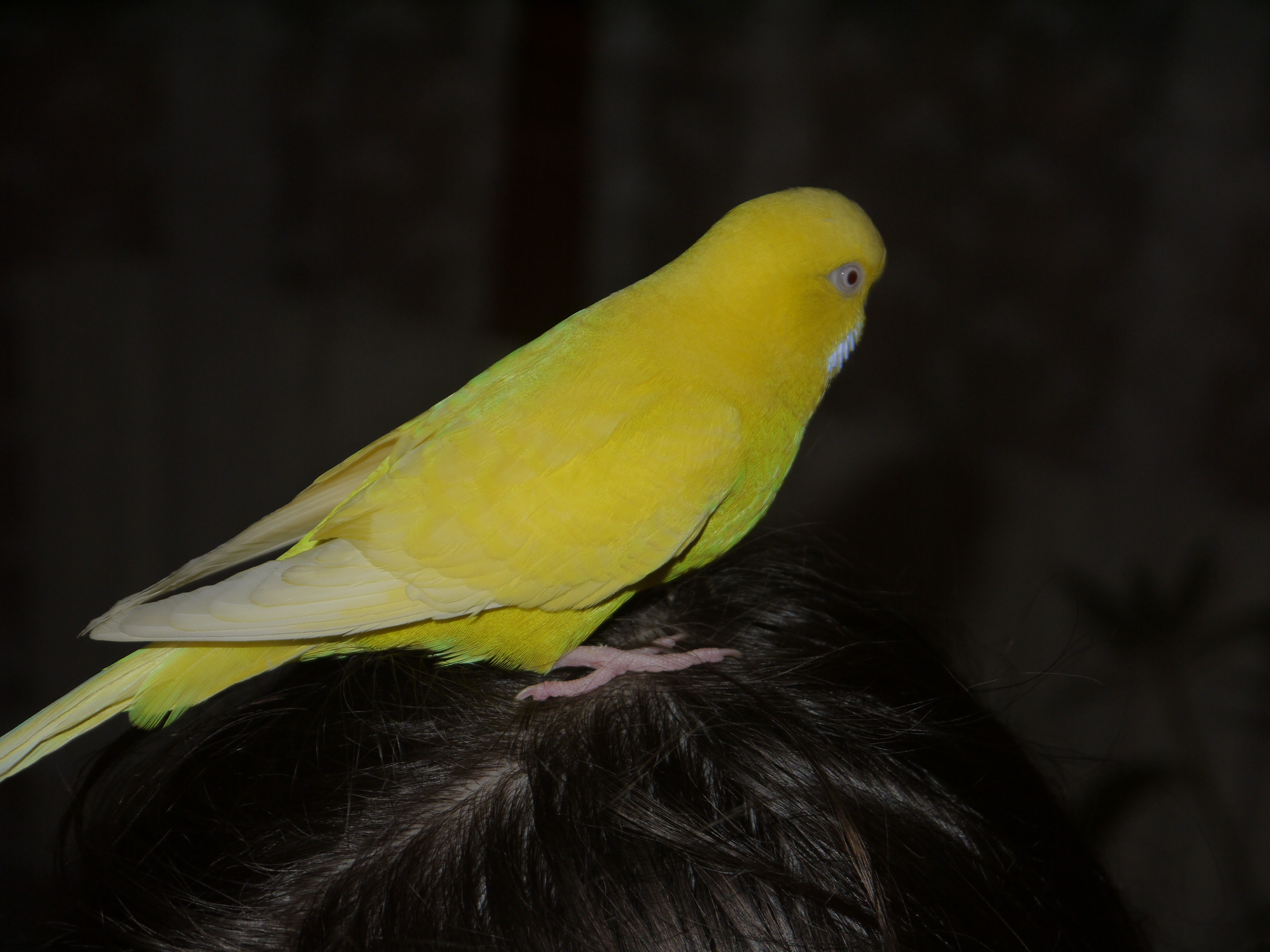 20111227_38